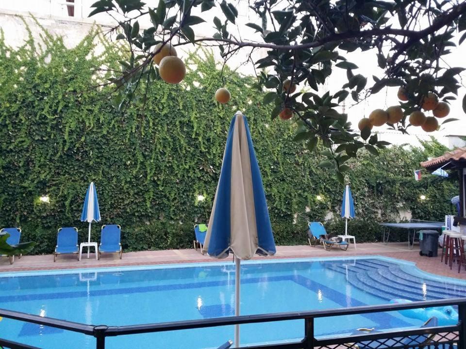 Sofia Studios & Apts Agia Marina (Crete) Bagian luar foto